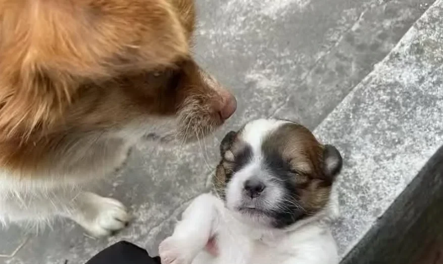 點一盞燈